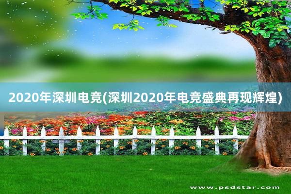 2020年深圳电竞(深圳2020年电竞盛典再现辉煌)