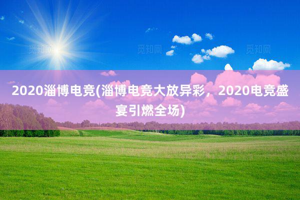 2020淄博电竞(淄博电竞大放异彩，2020电竞盛宴引燃全场)