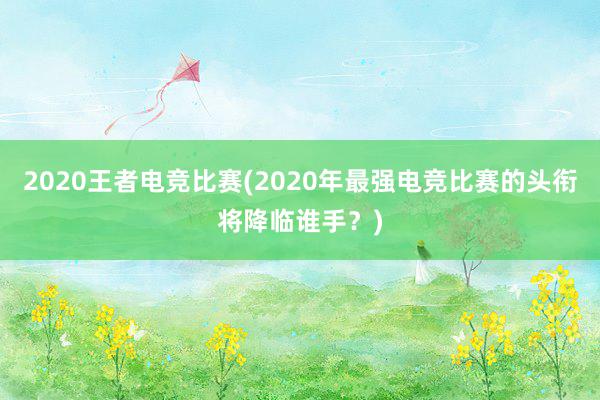 2020王者电竞比赛(2020年最强电竞比赛的头衔将降临谁手？)