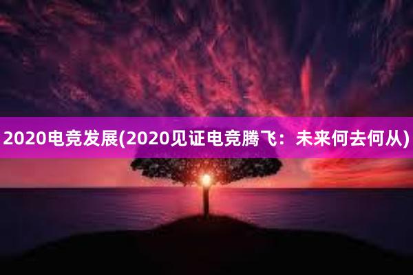 2020电竞发展(2020见证电竞腾飞：未来何去何从)