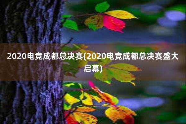 2020电竞成都总决赛(2020电竞成都总决赛盛大启幕)