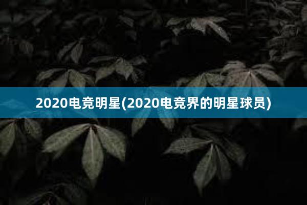 2020电竞明星(2020电竞界的明星球员)