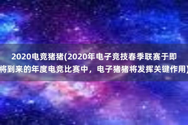 2020电竞猪猪(2020年电子竞技春季联赛于即将到来的年度电竞比赛中，电子猪猪将发挥关键作用)