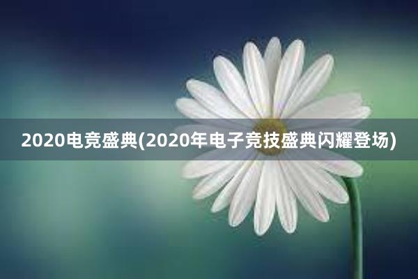 2020电竞盛典(2020年电子竞技盛典闪耀登场)