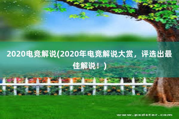 2020电竞解说(2020年电竞解说大赏，评选出最佳解说！)