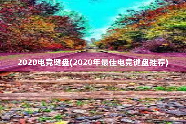 2020电竞键盘(2020年最佳电竞键盘推荐)