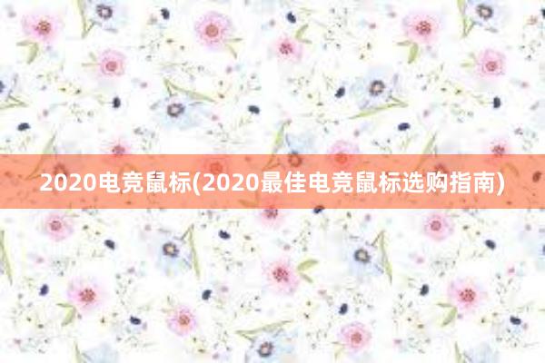 2020电竞鼠标(2020最佳电竞鼠标选购指南)