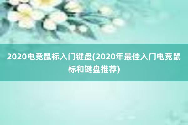 2020电竞鼠标入门键盘(2020年最佳入门电竞鼠标和键盘推荐)