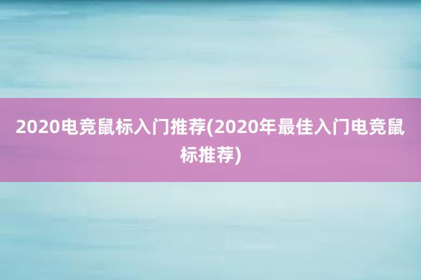 2020电竞鼠标入门推荐(2020年最佳入门电竞鼠标推荐)