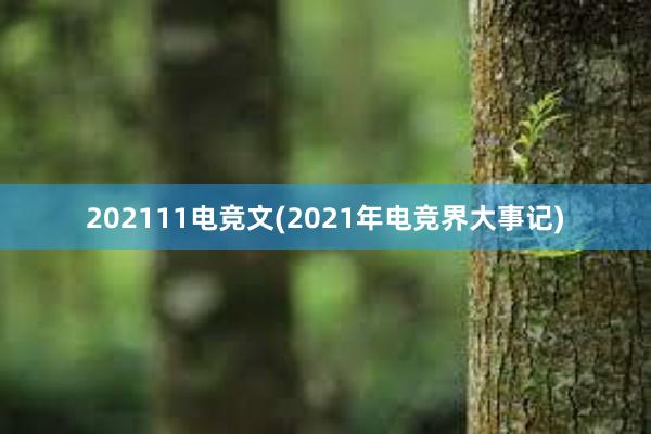 202111电竞文(2021年电竞界大事记)