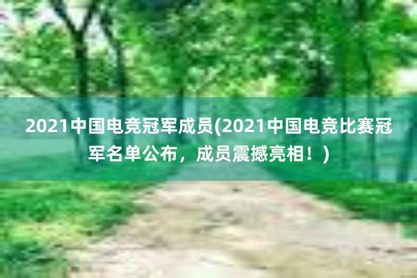 2021中国电竞冠军成员(2021中国电竞比赛冠军名单公布，成员震撼亮相！)