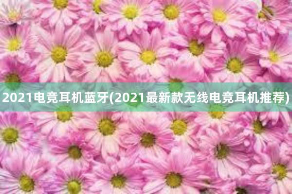 2021电竞耳机蓝牙(2021最新款无线电竞耳机推荐)