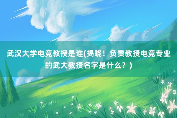 武汉大学电竞教授是谁(揭晓！负责教授电竞专业的武大教授名字是什么？)