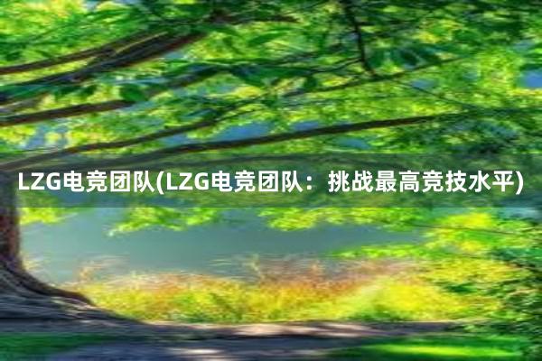 LZG电竞团队(LZG电竞团队：挑战最高竞技水平)