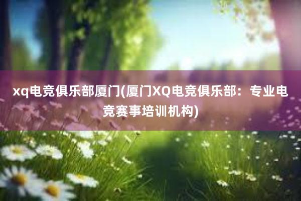 xq电竞俱乐部厦门(厦门XQ电竞俱乐部：专业电竞赛事培训机构)