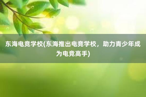 东海电竞学校(东海推出电竞学校，助力青少年成为电竞高手)