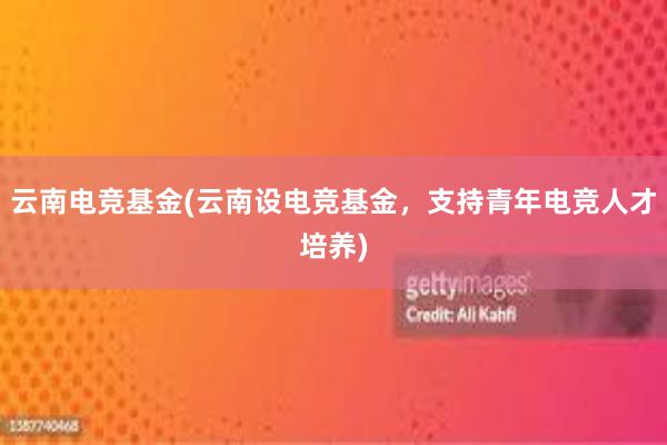 云南电竞基金(云南设电竞基金，支持青年电竞人才培养)