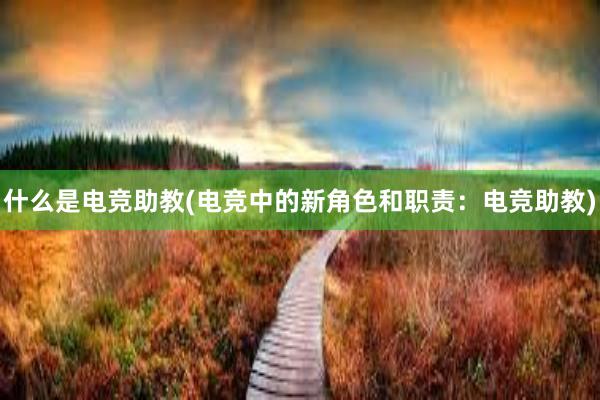 什么是电竞助教(电竞中的新角色和职责：电竞助教)