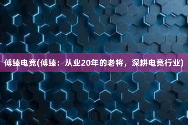 傅臻电竞(傅臻：从业20年的老将，深耕电竞行业)