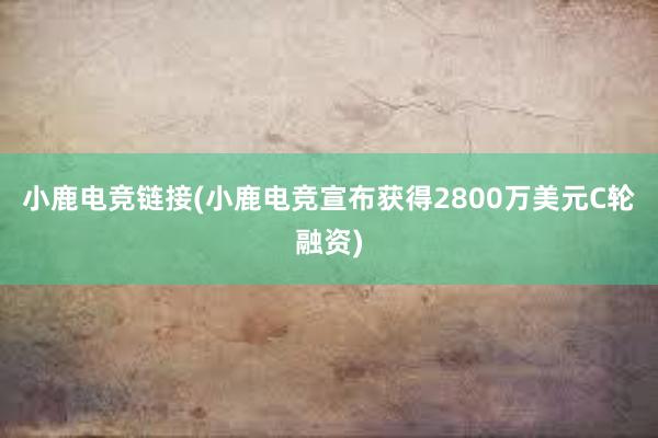 小鹿电竞链接(小鹿电竞宣布获得2800万美元C轮融资)