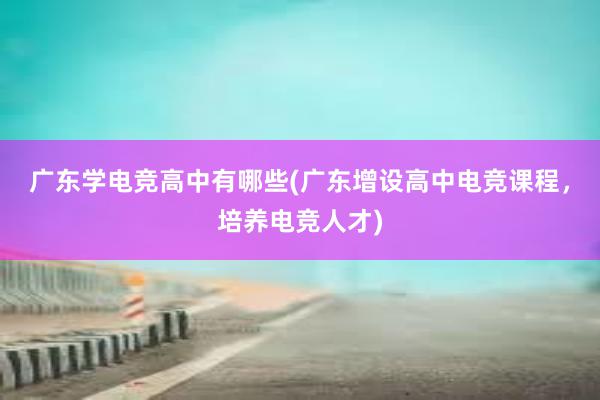 广东学电竞高中有哪些(广东增设高中电竞课程，培养电竞人才)