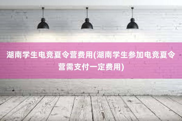 湖南学生电竞夏令营费用(湖南学生参加电竞夏令营需支付一定费用)