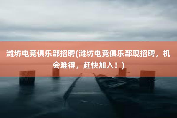 潍坊电竞俱乐部招聘(潍坊电竞俱乐部现招聘，机会难得，赶快加入！)