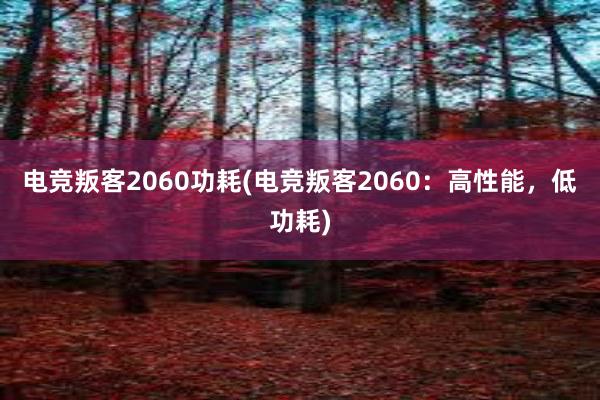 电竞叛客2060功耗(电竞叛客2060：高性能，低功耗)