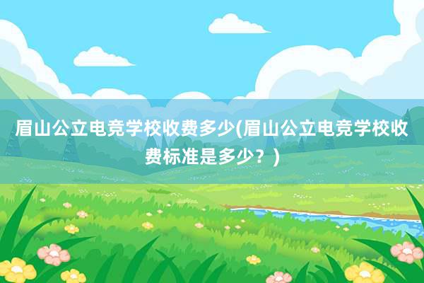 眉山公立电竞学校收费多少(眉山公立电竞学校收费标准是多少？)