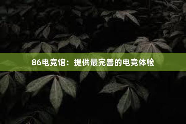 86电竞馆：提供最完善的电竞体验