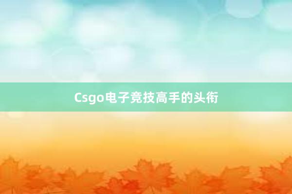 Csgo电子竞技高手的头衔