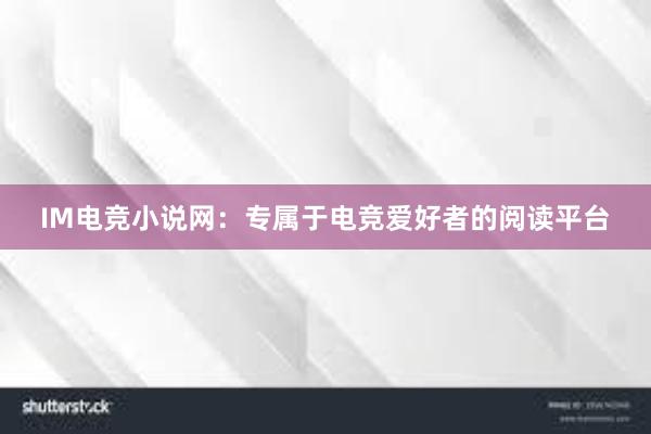 IM电竞小说网：专属于电竞爱好者的阅读平台