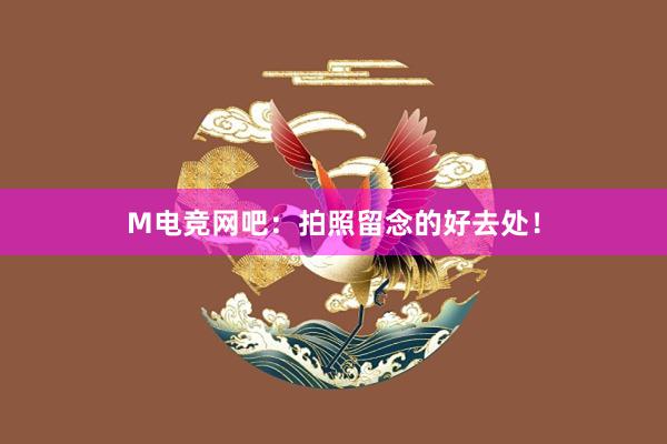 M电竞网吧：拍照留念的好去处！