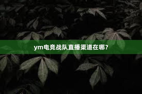 ym电竞战队直播渠道在哪？