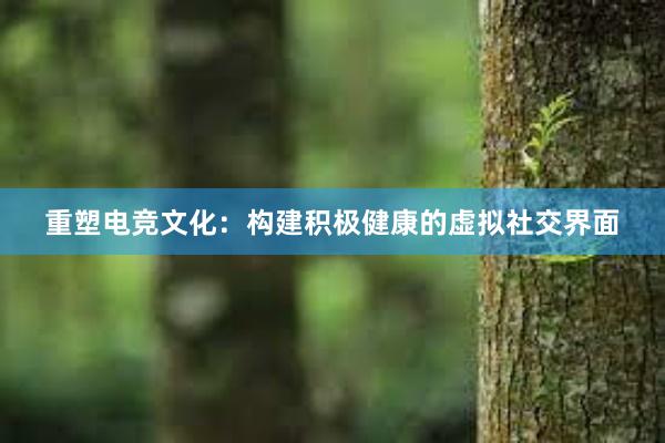 重塑电竞文化：构建积极健康的虚拟社交界面