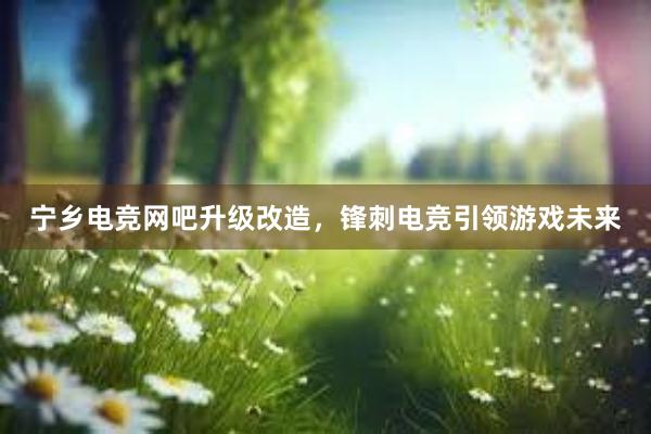 宁乡电竞网吧升级改造，锋刺电竞引领游戏未来