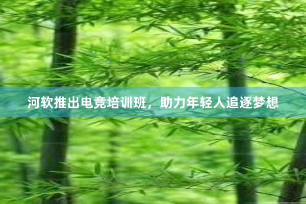 河软推出电竞培训班，助力年轻人追逐梦想