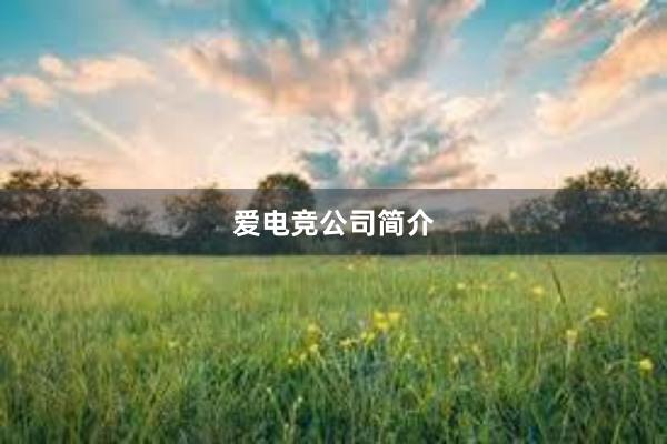 爱电竞公司简介