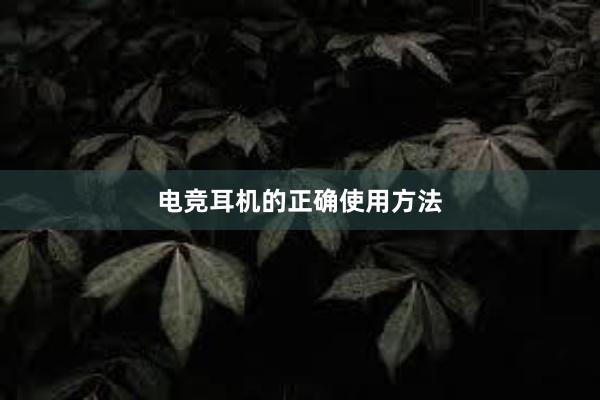 电竞耳机的正确使用方法